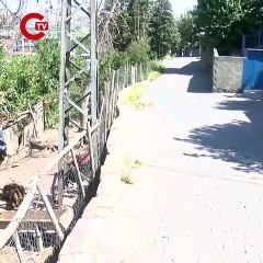 Yerde hareketsiz yatan keçiye dokununca hayatını kaybetti!