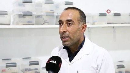 İnşaat ustalığını bırakıp çocukluk hayalini meslek edindi; 1 gramından on binlerce dolar kazanacak