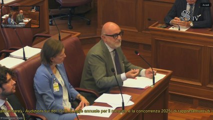 Roma - ​​Legge annuale per il mercato e la concorrenza 2025 (11.09.25)