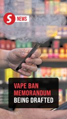 Health Ministry drafting Cabinet memorandum on vape ban, says Dzul
