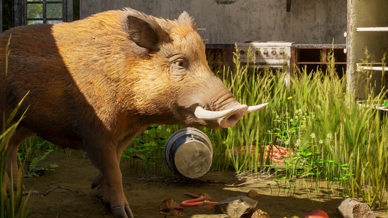 Wild Terrain: Trailer zeigt die Wildschwein-Sim in schicker Unreal Engine 5-Optik