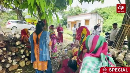Swarnalata Sahu, Who Taught Odisha's Women Farmers How Climate Action Begins From Paddy Fields