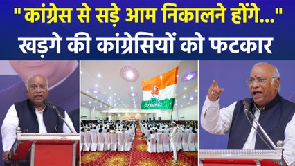 "कांग्रेस से सड़े आम निकालने होंगे...", मल्लिकार्जुन खड़गे की कांग्रेस कार्यकर्ताओं को फटकार