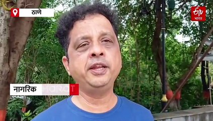 ठाण्यात हरित स्वप्न फसलं; शेवग्याच्या रोपांची जीव वाचवण्यासाठी धडपड!