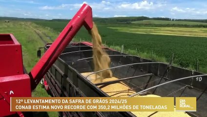 Conab estima novo recorde com 350,2 milhões de toneladas na safra de grãos 2024/25