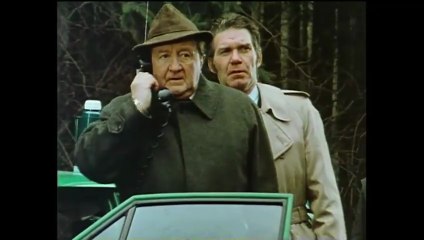 Der Alte - Folge 52 - Der Zigeuner