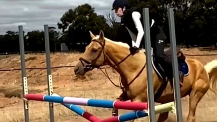 Horse refuses to jump the hurdle and throws the rider off dramatically