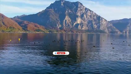 Dream Garden Reflections – Peaceful Music for Emotional Healing