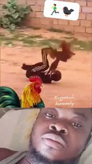 What is happening here