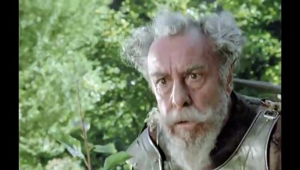 serie: El Quijote de Miguel de Cervantes