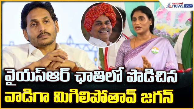 YS Sharmila Comments on Jagan: జగన్‌పై కీలక వ్యాఖ్యలు చేసిన వైయస్ షర్మిల | Asianet News Telugu