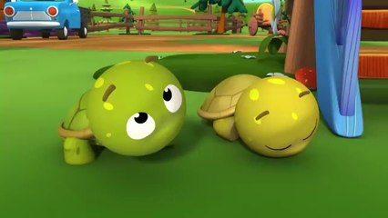 Niloya - Tospik 🐢