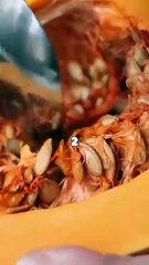 6 POWERFUL FOODS THAT CAN ELIMINATE PARASITES NATURALLY