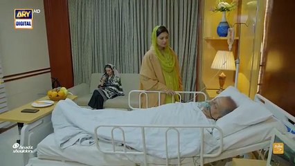 Sher Episode 33 - 11 Sept 2025 on ARY Digital