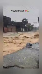 Punjab Flood Effected . Killed Many People and Animals