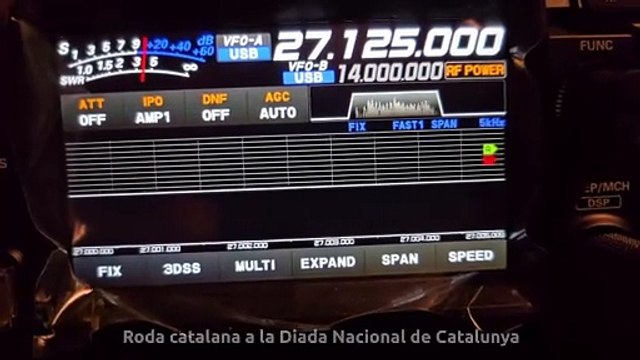 Roda catalana a la Diada Nacional de Catalunya