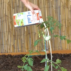 Ces ASTUCES de jardinage sont tellement BIEN que même mon voisin les a volées.
