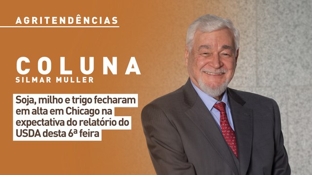Soja, milho e trigo fecharam em alta em Chicago na expectativa do relatório do USDA desta 6ª feira
