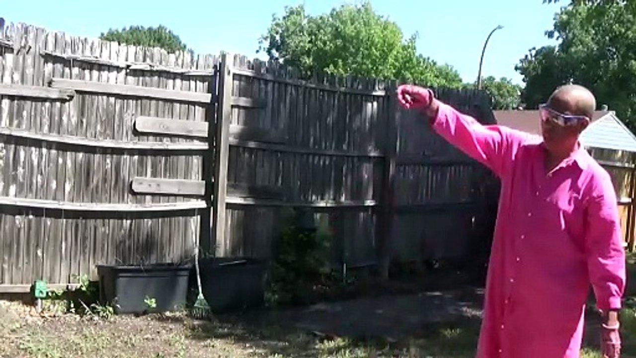 Things Gardeners Do.  Day 2.