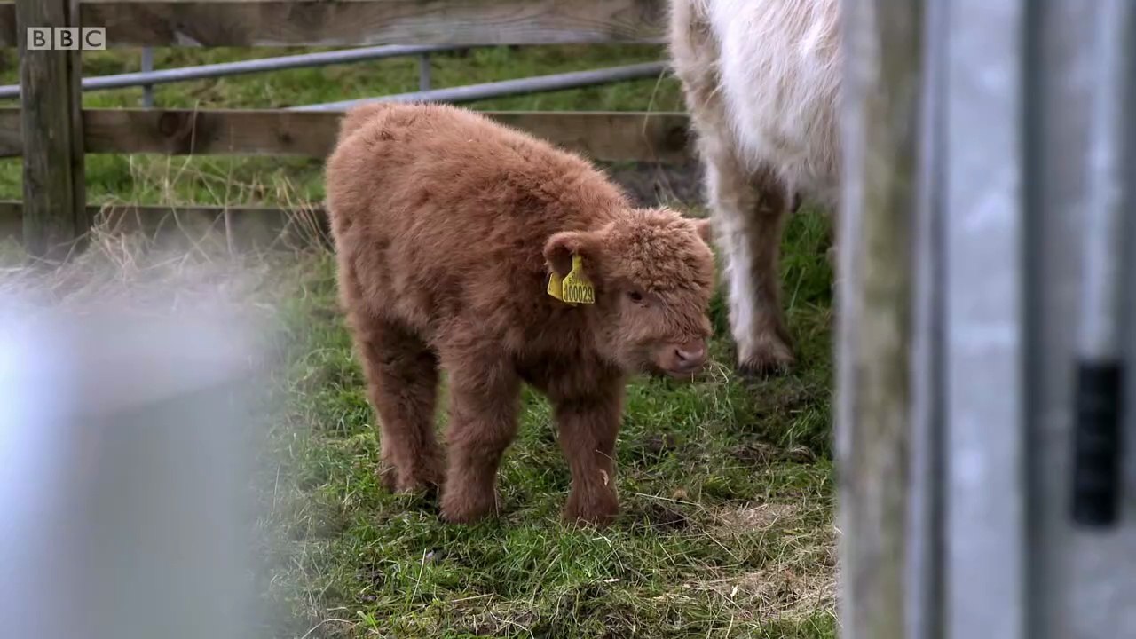 This Farming Life S02E01