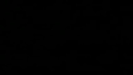 LOOP SPOT | TV2 NEWS - Først. 24 timer i døgnet | news.tv2.dk - 1. december 2006 | TV2