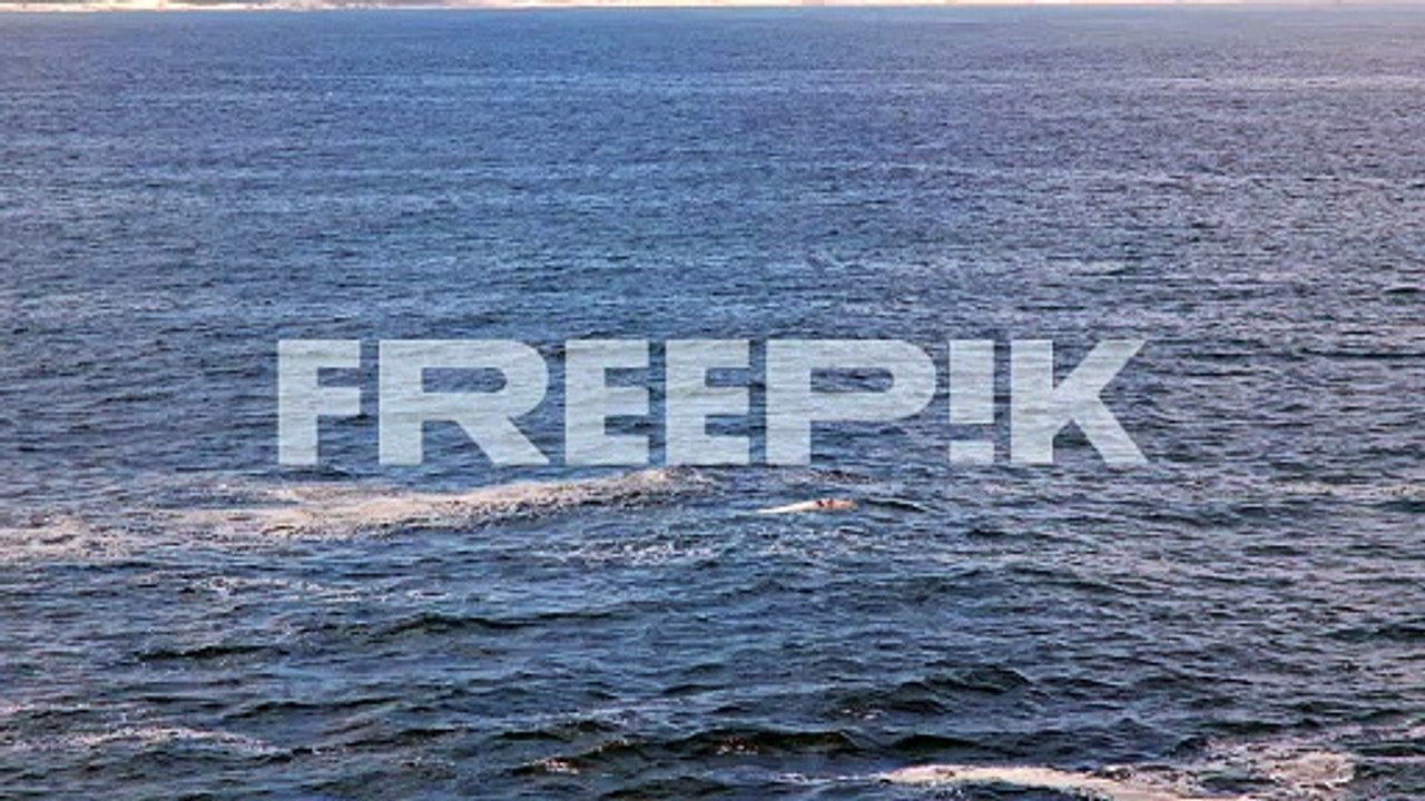 brindle whale and mom pair of southern right whales blows at surface, hermanus