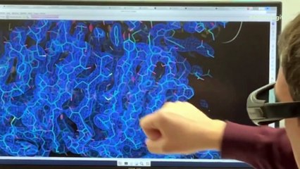 A revolução da medicina? IA descobre anticorpos para vírus em apenas algumas horas.