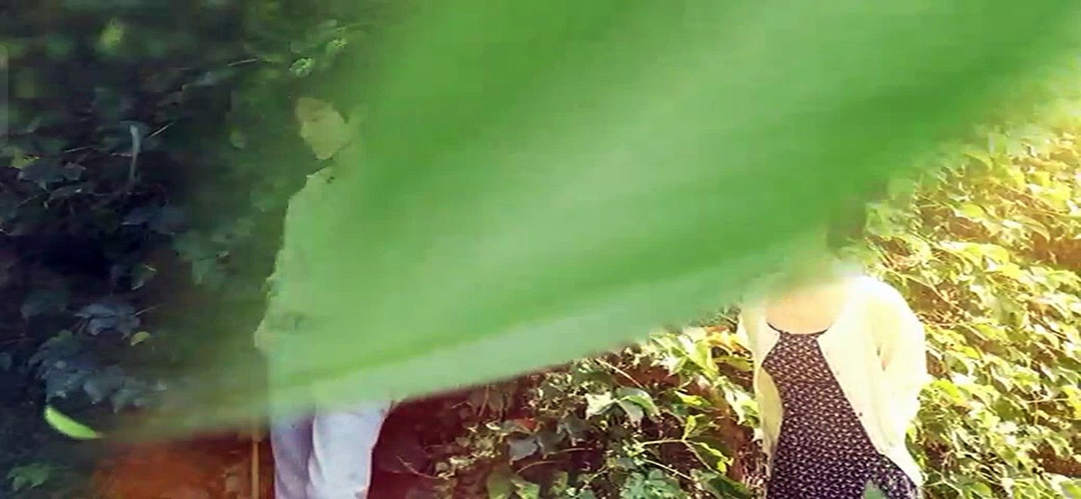 Hidden Love on GMA (Chinese dramas & Tagalog Dubbed) Full Episode 50 September 12, 2025 Part 2