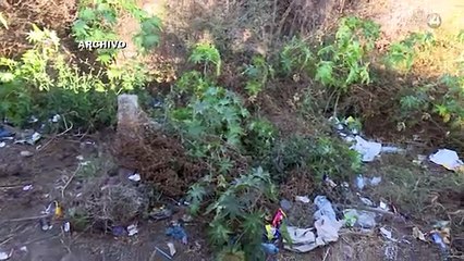 Suman 258 bolsas con segmentos humanos en la fosa de Las Agujas en Zapopan