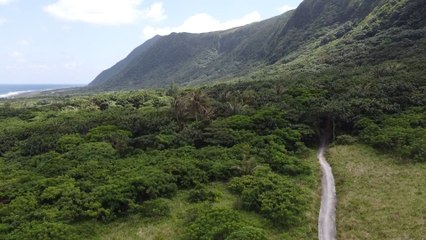 tne nature 🍄‍🟫