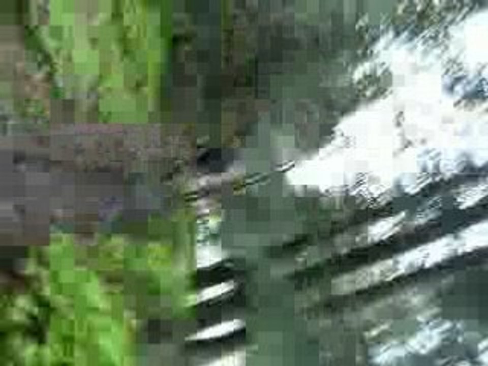 DSCF0196