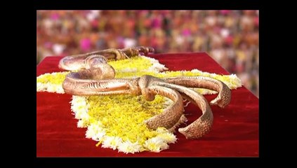 KAILASANATHAN MALAYALAM EP 441