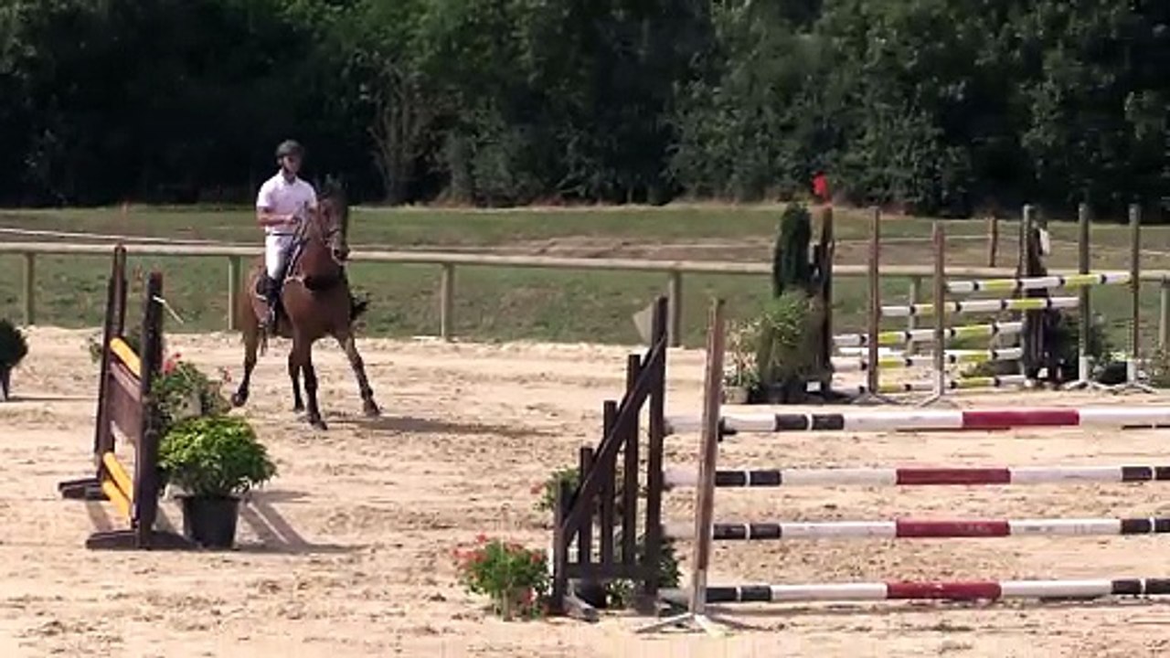 ILE BRAGARD 30-07-2017 Amateur 1 Grand Prix (1,20 m) 23