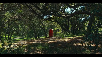 A Big Bold Beautiful Journey - Un viaggio straordinario (Trailer Ufficiale HD) ⭐️⭐️