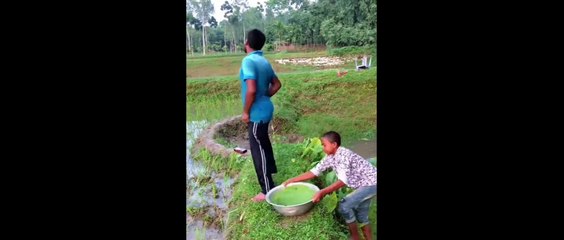 Ultimate Funny Fails Compilation 😂 | Try Not To Laugh Challenge