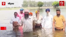 ਹੜ੍ਹ 'ਚ ਫਸਲਾਂ ਹੋਈਆਂ ਬਰਬਾਦ, ਕਿਸਾਨ ਆਗੂਆਂ ਨੇ ਮੁਆਵਜ਼ੇ ਦੀ ਕੀਤੀ ਮੰਗ