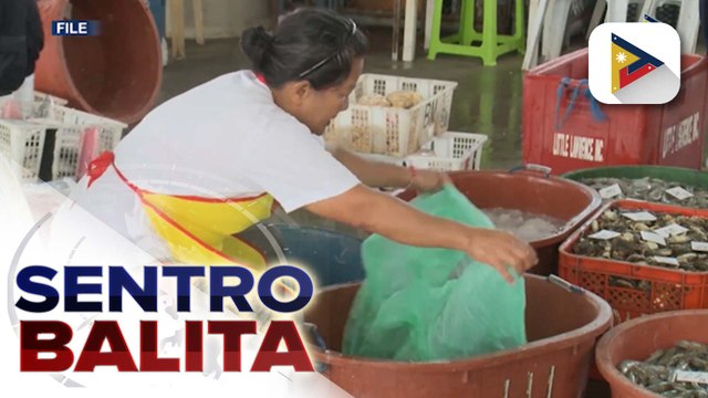 DOST, tutulong para mapataas ang produksyon at kita ng mga mangingisda sa MSMEs sa Capiz | ulat ni Isaiah Mirafuentes