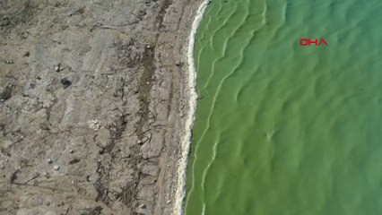 Arnavutköy'de Durugöl'ün yeşile bürünmesi tedirginlik yarattı