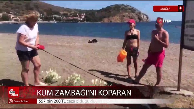 Muğla'da Kum Zambağı'nı koparana ceza