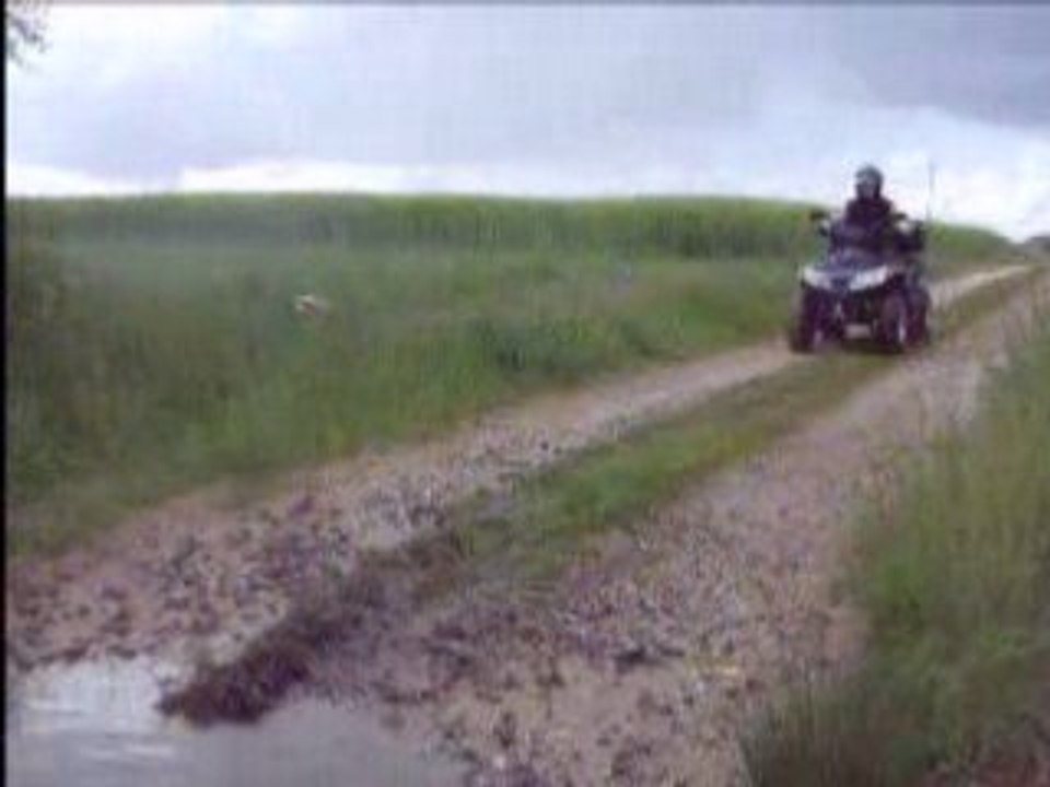 quad sym quadlander 300