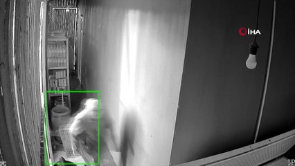 Bursa'da 3 hırsız yüzlerini kamufle edip kapattı, terlikten kimlikleri belirlendi