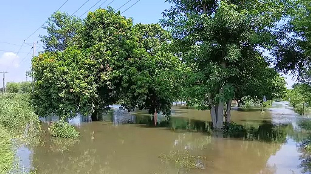 Water of flood