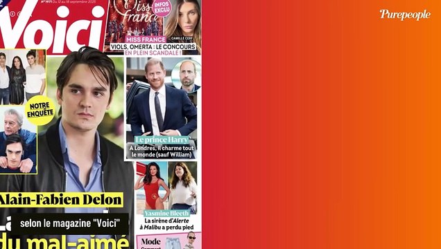 Derrière la démarche d'Alain-Fabien Delon pour la succession, se cache un joli pactole de plusieurs millions d'euros