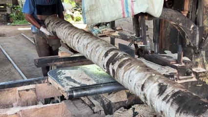 Innovation of Sawmill Machines for Coconut Wood 2x20