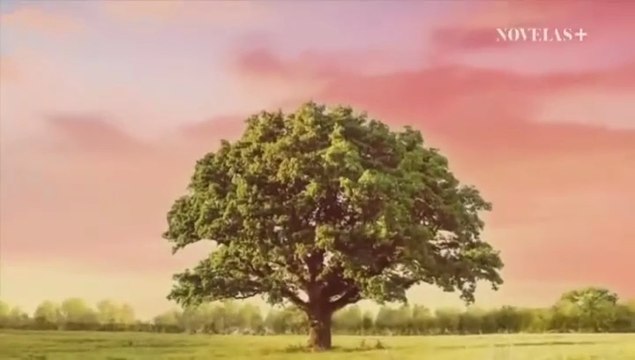 Na miłosc nie ma recepty - 39