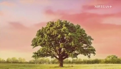 Na miłosc nie ma recepty - 39