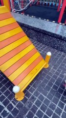 Want to play a level-breaking game with your puppy? A unique challenge for cute pets!