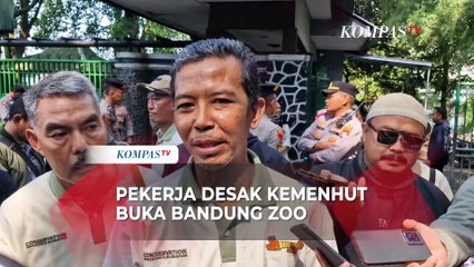 Serikat Pekerja Desak Kemenhut Buka Bandung Zoo: Kami Ingin Merawat Satwa dengan Baik