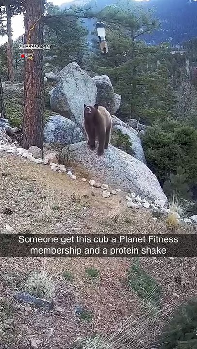Untitled Facebook Video