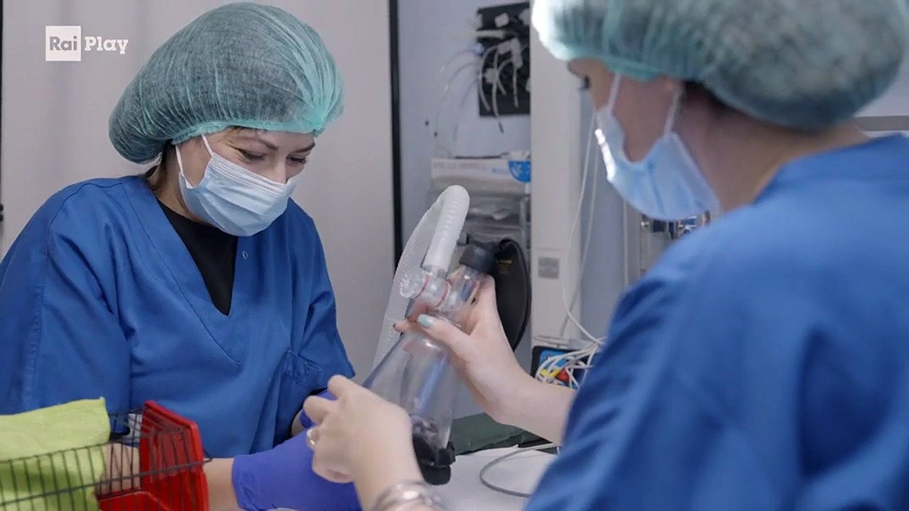 Pet Anatomy - S1E1 - Il destino di Poxie - Video